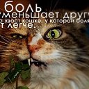  Lika_magistr, , 51  -  10  2009     ....