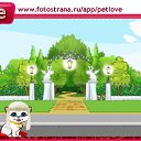  , , 43  -  21  2011   PetLove