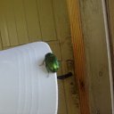 ���� ����, ������, 25 ��� - ��������� 22 ���� 2010 � ������ �������