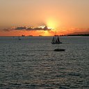 ���� ����, �����������, 44 ���� - ��������� 17 ������ 2012 � ������ ���� ����������