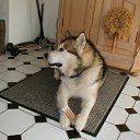  Walter, , 64  -  16  2012   