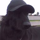 ���� ����, �����-���������, 68 ��� - ��������� 11 ������� 2012