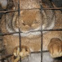 ���� �������, �������, 38 ��� - ��������� 28 ������ 2010 � ������ ������� �����!!!�