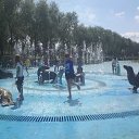 ���� ��������, �����������, 42 ���� - ��������� 4 �������� 2009 � ������ ������� ������ 2009�