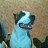 ���� Mrpitbull, ��������, 38 ��� - ��������� 22 ������ 2012