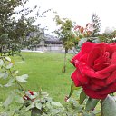 ���� ������, ������ - ��������� 25 ��� 2012 � ������ ���� ����������