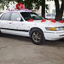 ���� �����, ������, 45 ��� - ��������� 30 ������� 2010 � ������ �������