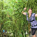 ���� ����, ��������, 40 ��� - ��������� 21 ������ 2013 � ������ ���� ����������