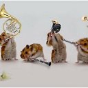 ���� ����� - ���������� ��������!!!, �����������, 56 ��� - ��������� 13 ������� 2009 � ������ ��������� (�����)�