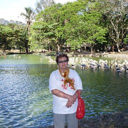 ���� �����, ����-���������, 67 ��� - ��������� 24 ���� 2013