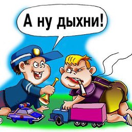  , -, 66  -  16  2013