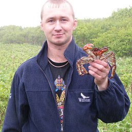 �������, ���������, 43 ����