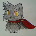 ���� �����, ������ - ��������� 28 ������� 2012 � ������ �PetLove�