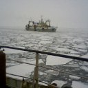 ���� ����, ������-�������, 49 ��� - ��������� 16 ������� 2012 � ������ ����������