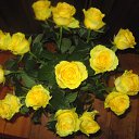 ���� ����, �����, 48 ��� - ��������� 30 ������ 2012 � ������ ���� � ����