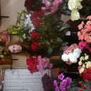  ,  , 41  -  5  2011   ))