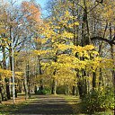 ���� ����, �����-���������, 56 ��� - ��������� 23 ������� 2012 � ������ ������ .������ ������