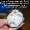 ���� ��������, �������� - ��������� 23 ����� 2012 � ������ �������� ��������