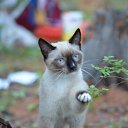 ���� Sergey, ����, 65 ��� - ��������� 10 �������� 2011 � ������ �������