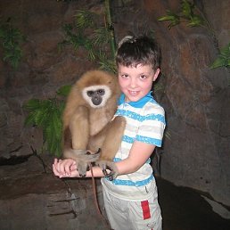 �������, ������, 21 ���