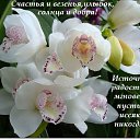 ���� ������, ��, 48 ��� - ��������� 22 ���� 2012 � ������ �������..........!!!�