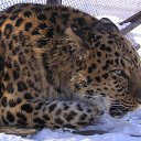 ���� Kasatkin, ����������, 48 ��� - ��������� 30 ��� 2011 � ������ �������