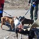 ���� �����, �����-���������, 59 ��� - ��������� 16 ������ 2010 � ������ ���� ����