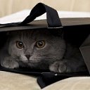 ���� ������, ������, 46 ��� - ��������� 5 ������ 2010 � ������ ������))�