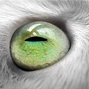 ���� ����, ���������, 45 ��� - ��������� 12 ������� 2011