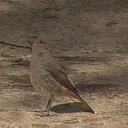 ���� ��������, �������, 51 ��� - ��������� 1 ������� 2011 � ������ ���� ����������