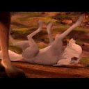 ���� �������, ������, 23 ���� - ��������� 9 ������� 2013 � ������ ���� ����������