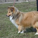 ���� ����, ������, 58 ��� - ��������� 24 ������� 2011 � ������ ���� ����������