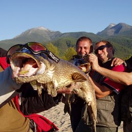 ���� �������, ������������-��������, 56 ��� - ��������� 5 �������� 2010