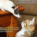 ���� ������, ���������, 60 ��� - ��������� 3 ���� 2012 � ������ ���� ����������