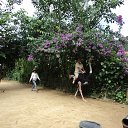 ���� �����, ������� ��������, 53 ���� - ��������� 23 ������� 2012 � ������ ���� ����������