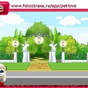 ���� ����, ������, 25 ��� - ��������� 10 �������� 2010 � ������ �PetLove�