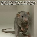 ���� ��������, �������� - ��������� 23 ����� 2012 � ������ �������� ��������