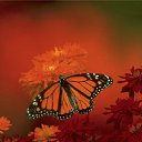 ���� ������, ������, 68 ��� - ��������� 15 ������ 2012 � ������ �������Ȼ