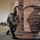  , , 50  -  22  2011         ,    ...     -  -..