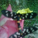 ���� ����, ������, 54 ���� - ��������� 6 ��� 2013 � ������ ���� ����������