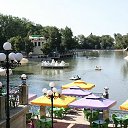 ���� ����, ����������� - ��������� 8 ������� 2012 � ������ �����������