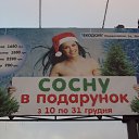  Denis, , 46  -  28  2012   