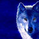 ���� �������, ���������, 44 ���� - ��������� 7 ������ 2011 � ������ ���� ����������