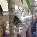  , --, 36  -  3  2011   