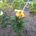 ���� ������, ������, 57 ��� - ��������� 1 ���� 2013 � ������ �������