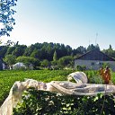 ���� ���������, ���������� - ��������� 13 ���� 2010 � ������ ��������