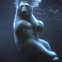 ���� ����� - ���������� ��������!!!, �����������, 56 ��� - ��������� 20 ������� 2009 � ������ ������������� ��������� � ��������� ���!�