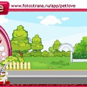  , , 41  -  22  2011   PetLove