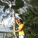  Aleksa , , 45  -  15  2011   