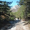   
-  ...      2011 - 2